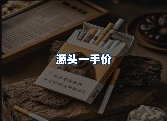 专业团队办公环境